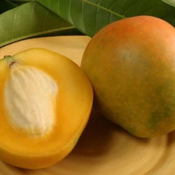 Florigon